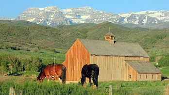 Utah home valued at nearly $1B after 'horrific' typo and taxpayers may pay for the mistake: report