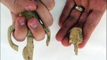 Discovery of mini weapons shows how ancient Native American children learned survival skills