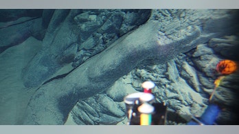 Small volcano discovered in the Pacific Ocean