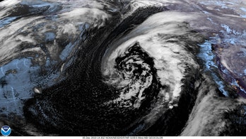 What is the Pineapple Express?