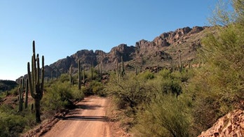 Search for missing Arizona girl, 6, becomes recovery effort