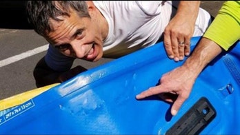 Aggressive tiger shark deflates man's paddleboard, pursues him back to shore