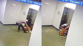Texas man jumps to the rescue after dog gets leash stuck in elevator