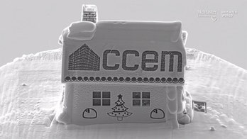 World's smallest 'gingerbread' house created by Canadian scientists