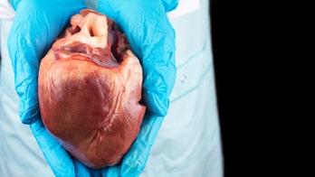 Heart from dead donor revived, transplanted into veteran in US first