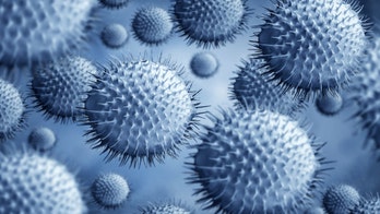 Norovirus outbreak temporarily closes Wisconsin elementary school: officials