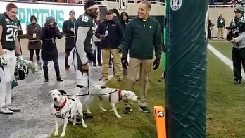 Michigan State Senior Day featured 2 dogs CB Josh Butler adopted after loss of parents