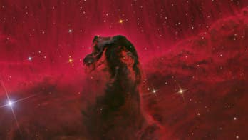 NASA releases stunning image of Horsehead Nebula