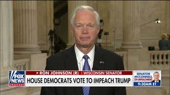 Sen. Ron Johnson on IG report, FISA judge's rebuke: FBI 'cabal' has a lot of explaining to do