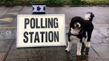 UK election voters bring dogs to polling stations