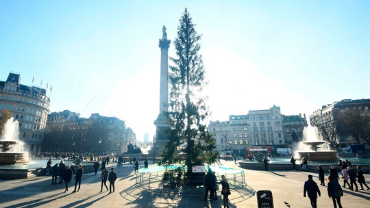 Trafalgar Square Christmas tree in London panned as looking 'a bit thin'