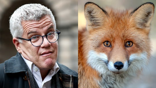 British lawyer claims he killed fox with baseball bat while wearing wife's kimono, sparks backlash, investigation