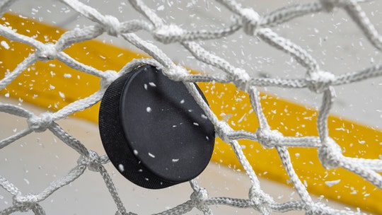 NHL hockey fan appears to pull 'Kiss Cam' prank, faking proposal to girlfriend