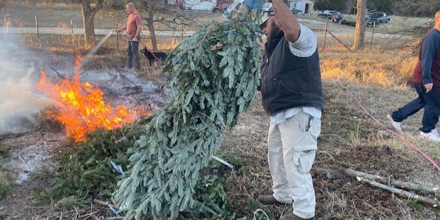 Volunteers helping Jamie Willis get Christmas trees ready for woodworking.