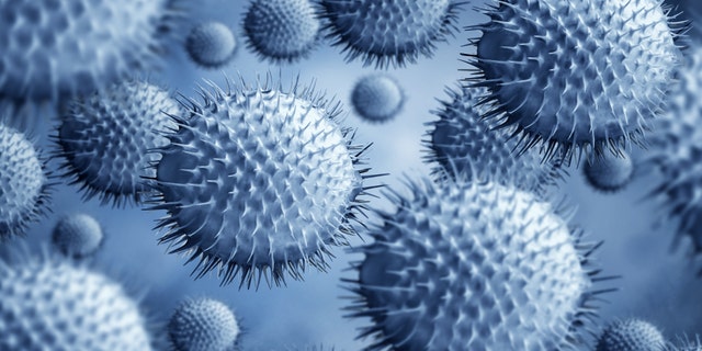 School officials said 11 of the 30 staff members were out sick with "flu-like symptoms."