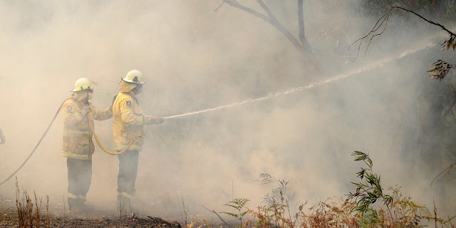 High temperatures and strong winds have been fanning bushfires around Australia, including more than 100 in New South Wales state.