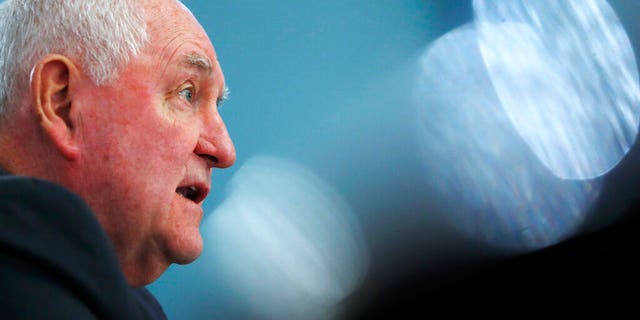 Agriculture Secretary Sonny Perdue at a House Agriculture Committee hearing.