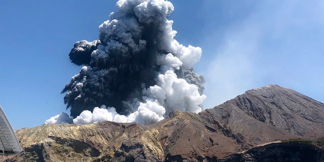 The eruption of the volcano on White Island off the coast of Whakatane, New Zealand. The death toll was raised to 16 after two people who were hospitalized died. (Lillani Hopkins via AP, file)