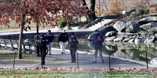 Law enforcement officers search Morningside Park along Manhattan's Upper West Side, Thursday, Dec. 12, 2019, in New York. 