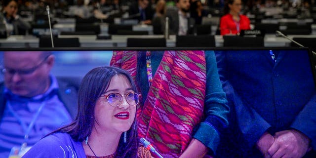 A woman delivering a speech Sunday at the COP25 closing plenary in Madrid.