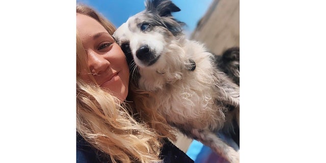 San Francisco woman Emilie Talermo hires plane to find missing dog Jackson