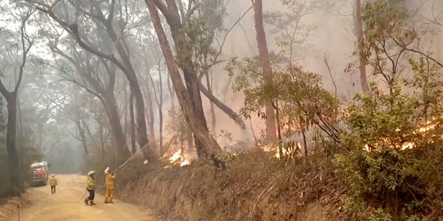 In this image made from video taken on Dec. 23, 2019, and provided Dec. 25, 2019, by Ingleside Rural Fire Brigade, fire brigade volunteers trying to tackle the fire in Kurrajong Heights, New South Wales. Australian authorities have warned that the fires in New South Wales could fester for months, causing more angst for exhausted firefighters.(Ingleside Rural Fire Brigade via AP)
