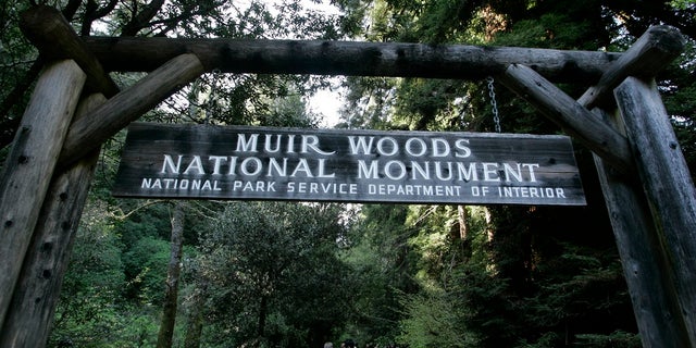 In this March 25, 2008 file photo visitors walk along a pathway near the entrance to the Muir Woods National Monument in Marin County, Calif. Authorities say a Redwood tree fell and fatally struck a man visiting Muir Woods National Monument Park on Tuesday. (AP Photo/Eric Risberg,File)