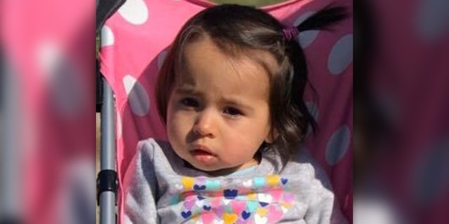 The Ansonia Police Department wrote on its Facebook page Tuesday that they are trying to find missing 1-year old Venessa Morales, who may be endangered.