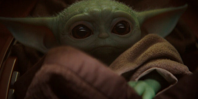A representative for Disney confirmed the Twitter photo, featuring a Baby-Yoda-themed sign, was a hoax.