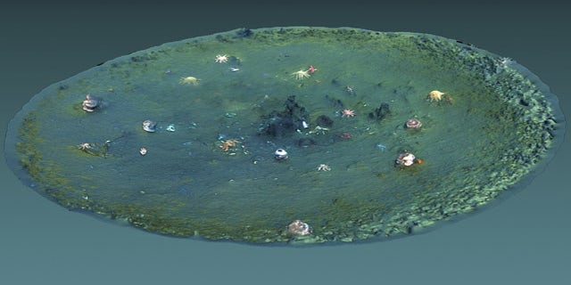 A computer-generated 3D view of a micro-depression. The image was created using underwater video from an underwater drone.