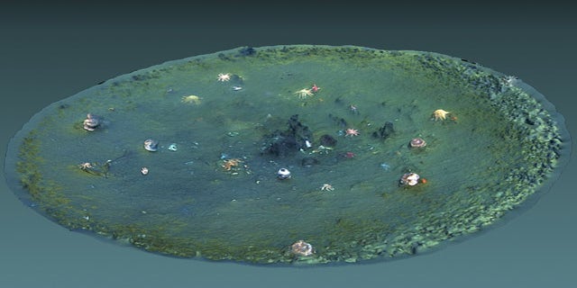 A computer-generated 3D view of a micro-depression. The image was created using underwater video from an underwater drone.