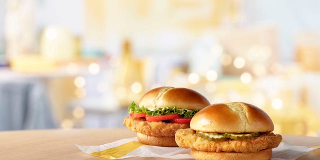 A deluxe version will include tomatoes, lettuce and mayo.