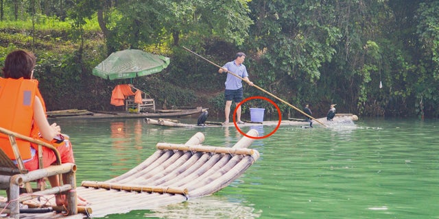 A tourist watches trained cormorants prepare to ‘fish’ along the Li River in southern China.