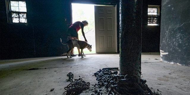Melissa Crampton leads Dakota from a building that was once part of Michael Vick's dog fighting compound in Surry, VA on August 7, 2019. The property is now occupied by Good Newz Rehab Center, an organization that shelters dogs that have been chained or penned. (Photo by Bonnie Jo Mount/The Washington Post via Getty Images)