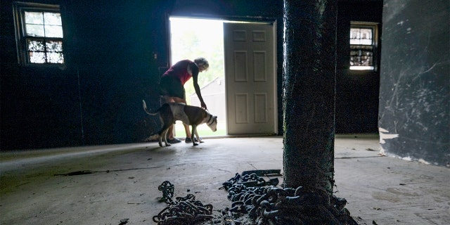 Melissa Crampton leads Dakota from a building that was once part of Michael Vick's dog fighting compound in Surry, VA on August 7, 2019. The property is now occupied by Good Newz Rehab Center, an organization that shelters dogs that have been chained or penned. (Photo by Bonnie Jo Mount/The Washington Post via Getty Images)