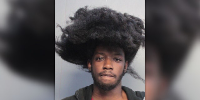 Emmanuel Reggin, 18, has been charged with third-degree grand theft for allegedly attempting to steal $2,800 in electronic equipment, arrest records said.