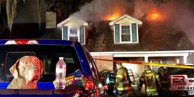 Household pet Sammy was credited with alerting his owner and family to a raging fire in their home Friday in Savannah, Georgia. 