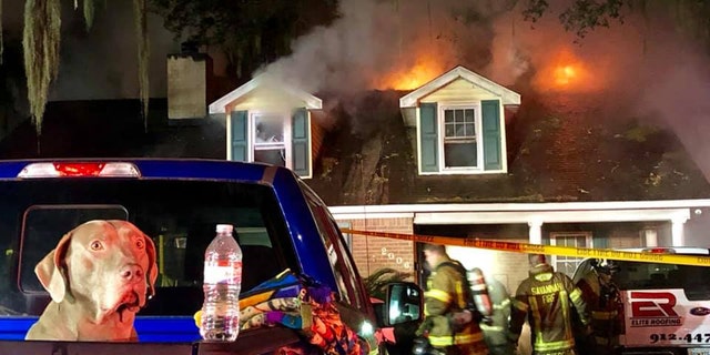 Household pet Sammy was credited with alerting his owner and family to a raging fire in their home Friday in Savannah, Georgia. 