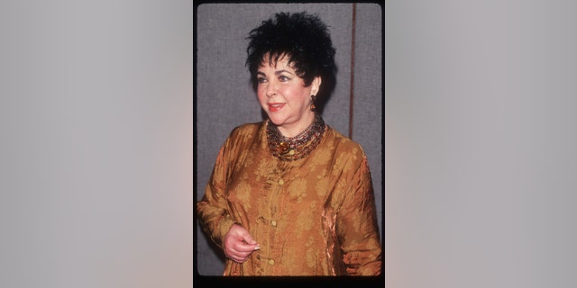 Actress Elizabeth Taylor stands at the United Nations headquarters on December 2, 1996, in New York City. Taylor addressed the United Nations General Assembly on the global AIDS crisis.