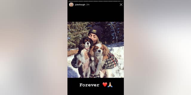 Julianne Hough pays tribute to her late dogs, Lexi and Harley, on her Instagram Story from Dec. 25.