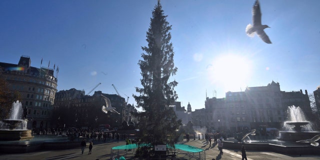 A spokesperson for the Westminster Council said in a statement that it was "a shame that people have to always be so negative" regarding the tree's appearance.
