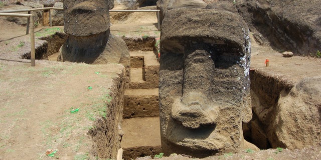View from downslope of two Moai during excavations by Jo Anne Van Tilburg and her team at Rano Raraku quarry, Rapa Nui.