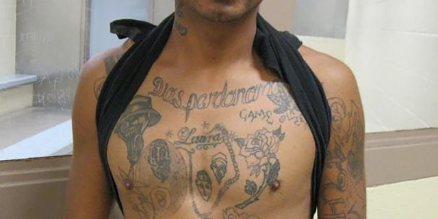 Gonzalo Garcia-Gonzales, a 26-year-old Mexican national and documented MS-13 member, was arrested as he illegally entered the U.S., the CBP said.