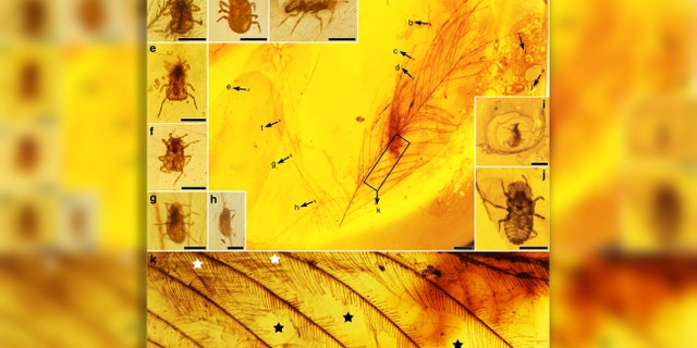 (Credit: Taiping Gao/Nature Communications)