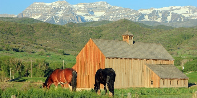 A phone drop error has impacted taxpayers in Wasatch County, Utah after a home was overvalued by almost $1 billion and now taxpayers and the local school district may be paying for the mistake.