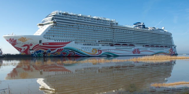 The Norwegian Joy cruise ship docked at the Port of Los Angeles Sunday morning after 20 passengers reported an "unspecified illness," fire officials said.