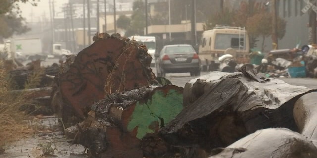 Large tree logs were placed outside Oakland, California businesses to help deter homeless residents from parking their cars outside.