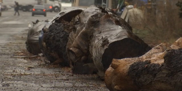 Large tree logs were placed outside Oakland, California businesses to help deter homeless residents from parking their cars outside.