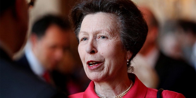 Britain's Anne, Princess Royal attends a reception to mark the centenary of the National Council for Voluntary Organisations at Windsor Castle, Britain April 2, 2019. Jonathan Brady/Pool via REUTERS - RC1FAFADF2B0