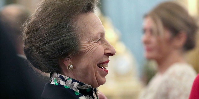 In this Tuesday, Dec. 3, 2019 file photo, Britain's Princess Anne talks to guests during a reception at Buckingham Palace, as NATO leaders gather to mark 70 years of the alliance, in London. (Yui Mok/Pool Photo via AP, File)